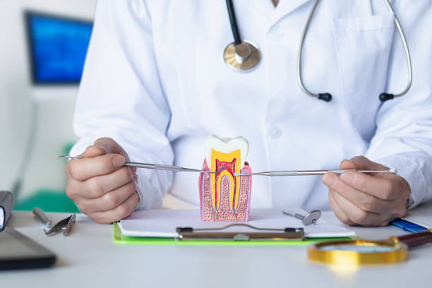 Best Root Canal Emergency Dentist  in Frankfort, OH